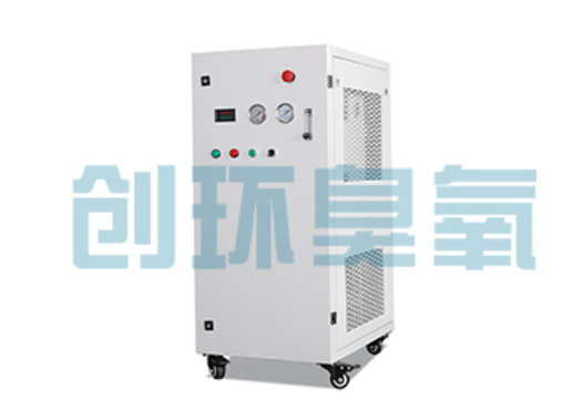 南通石斑鱼养殖水质调控完整指南：臭氧发生器配置与操作步骤