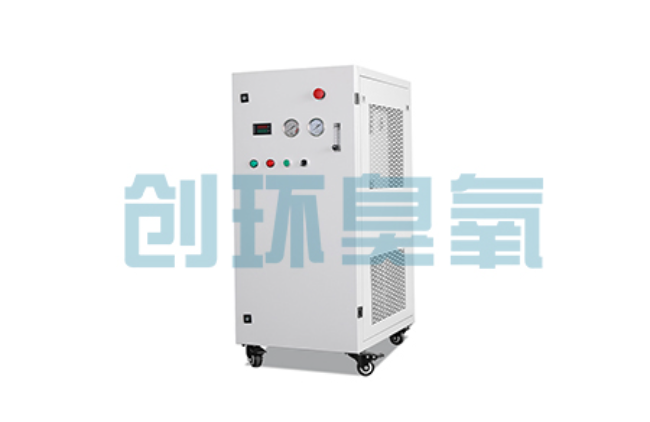 南通比传统换水更高效？臭氧发生器在石斑鱼养殖中的水质净化原理解析